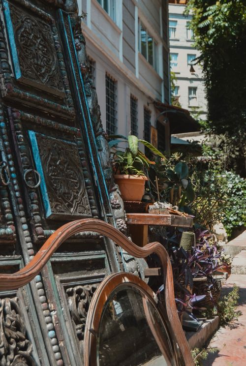 Free stock photo of beyoglu, bina, bitki Stock Photo