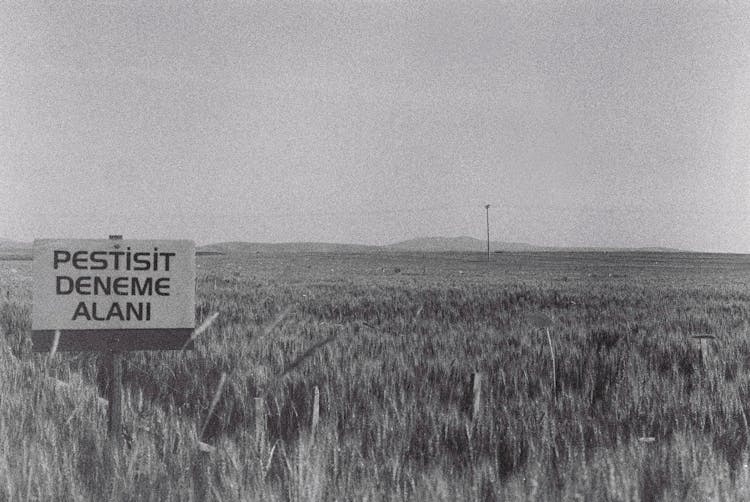 Sign In Field