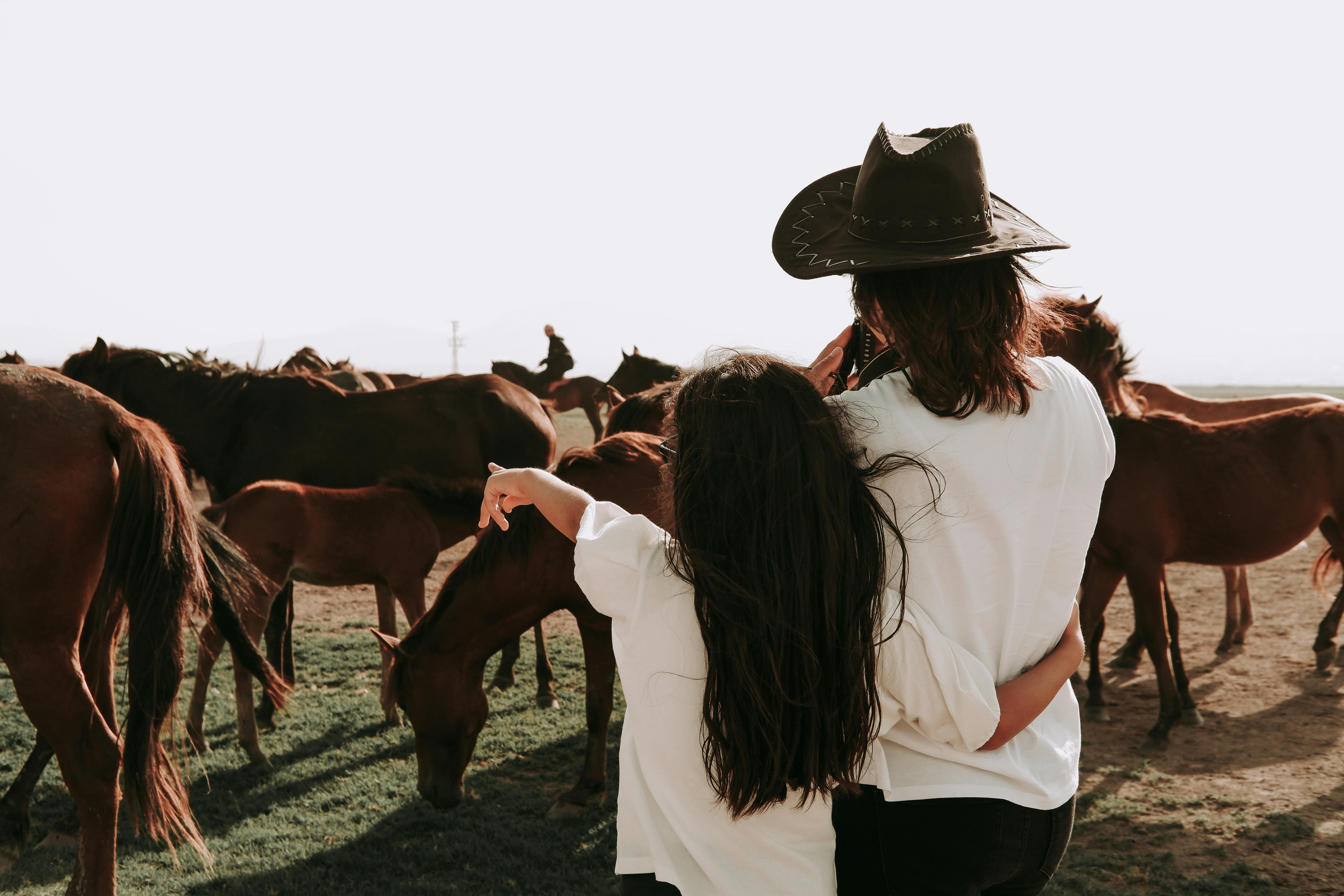 Wildlife Watching Image 1