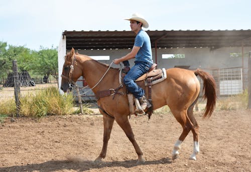 Man Riding a Horse Around a Ranch