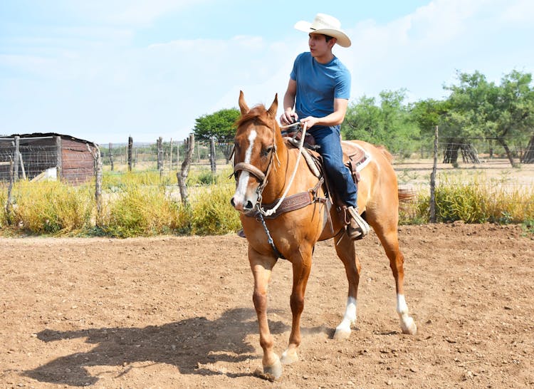 A Man On A Horse