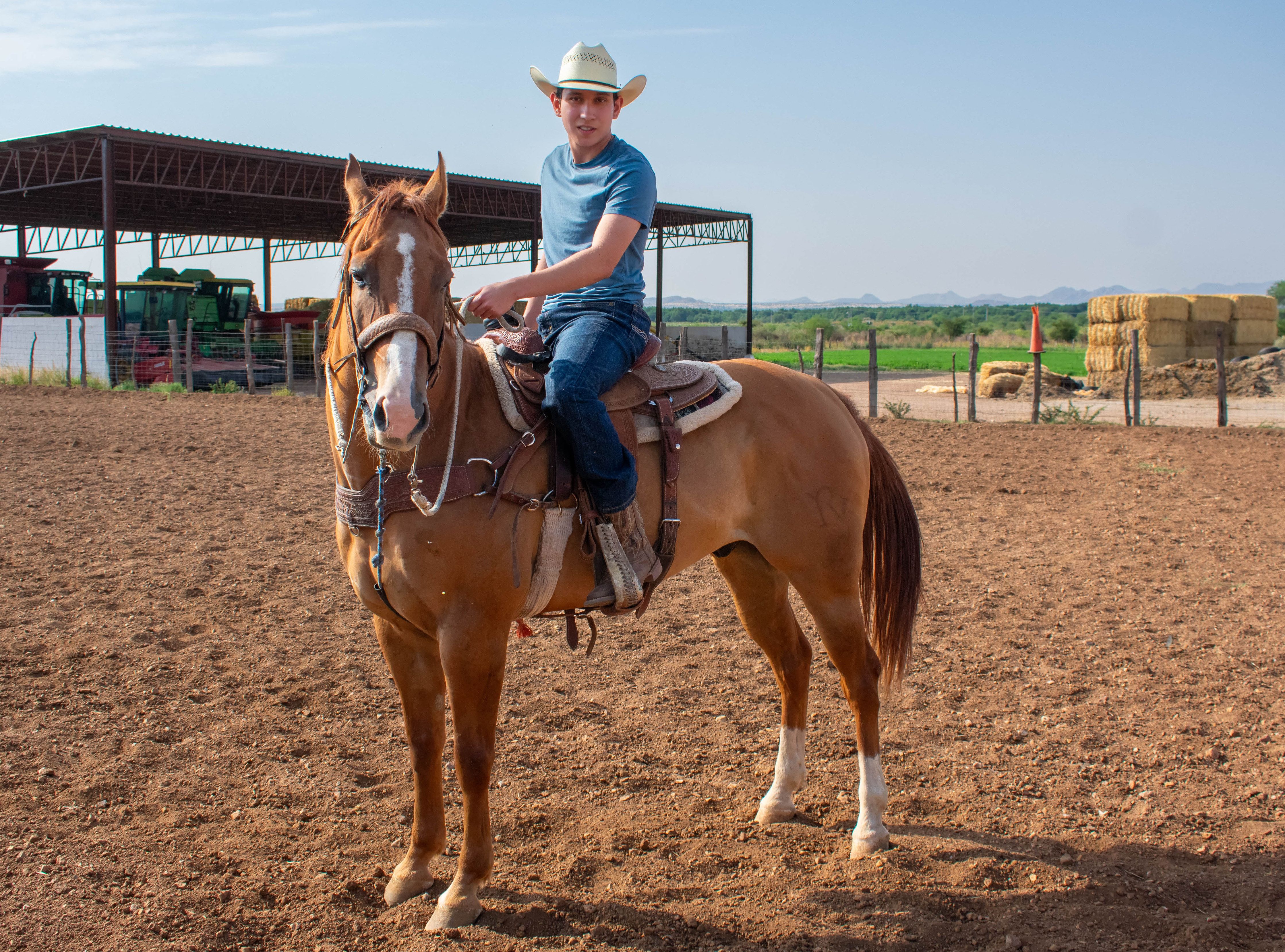 A Man Riding on a Horse · Free Stock Photo