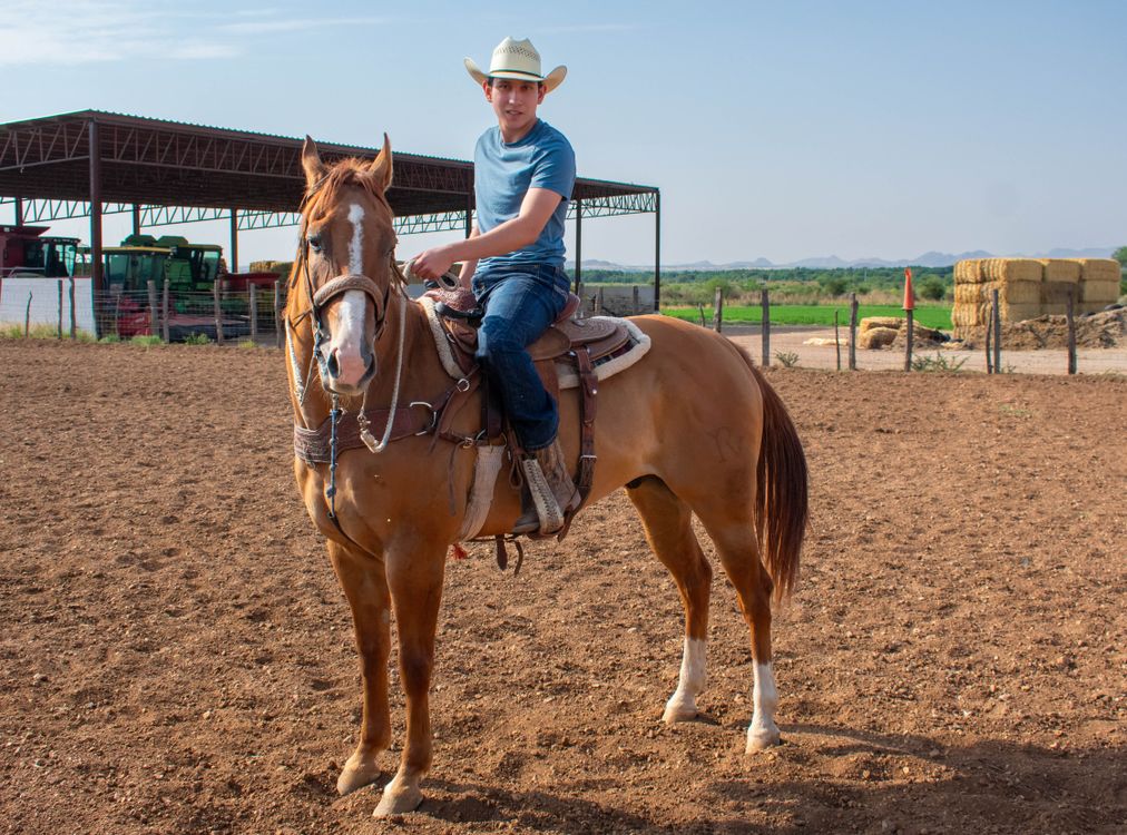 Operate Man Riding A Man Riding on a Horse · Free Stock Photo