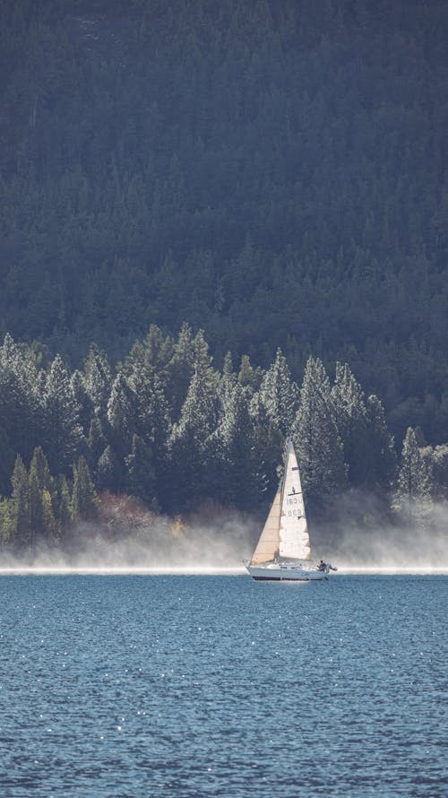 Sailboat Sailing on a Lake with Forest in the Background