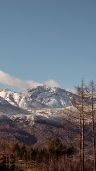 Stunning vertical shot of snowcapped mountains and trees in Patagonia.