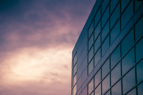 Glass Windows of a Building