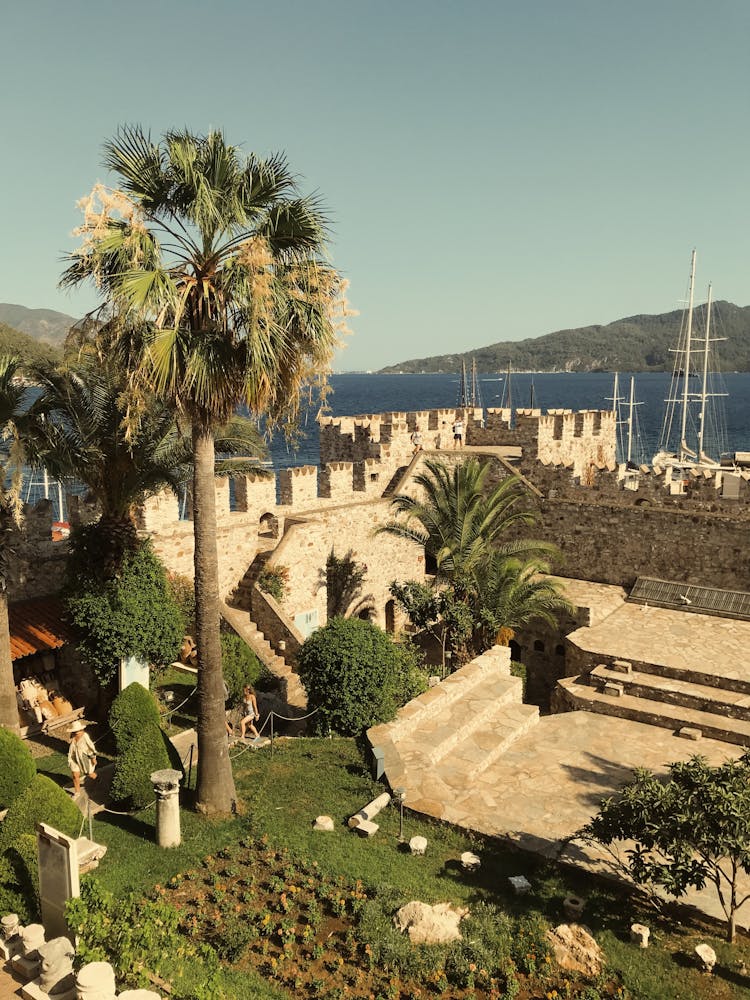 Garden In Castle Walls