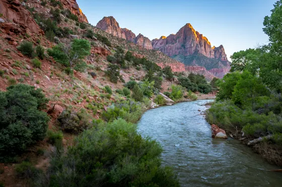 The Virgin River flowing through the bottom of Zion Canyon