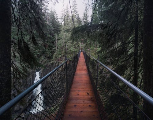 Бесплатное стоковое фото с pnw, водопад, деревья