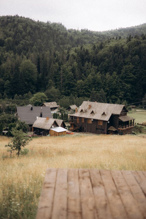 垂直ショット, 小屋, 木製の無料の写真素材