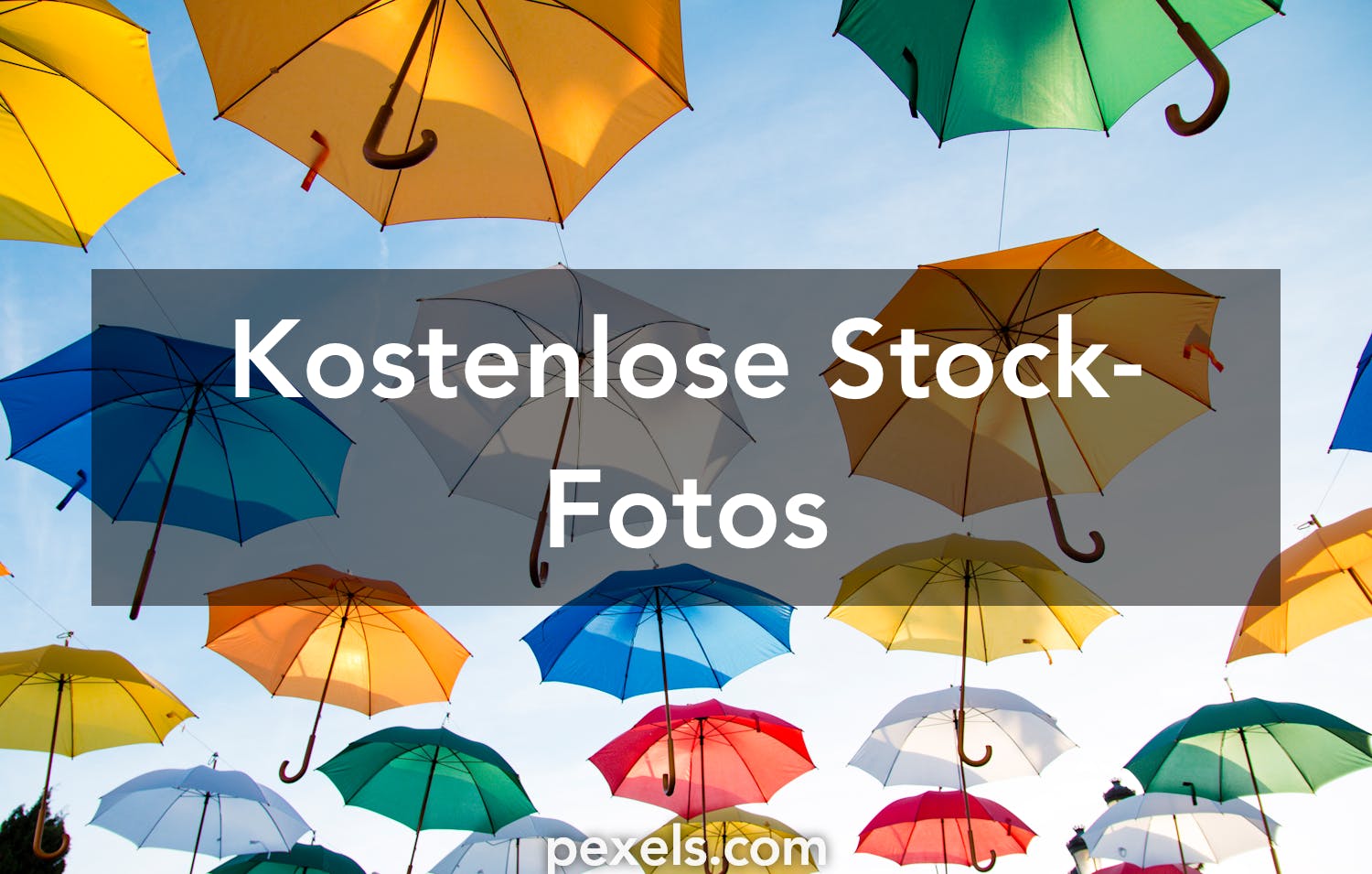 1000 Regenschirm Fotos Pexels Kostenlose Stock Fotos