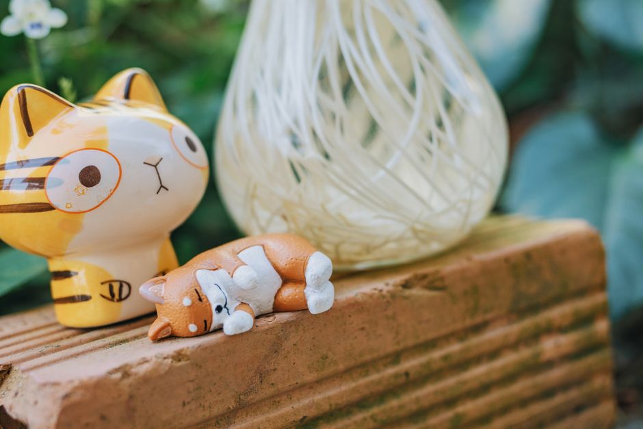 Ceramic vs Plastic Cat Water Fountain: Which Material Is Best?