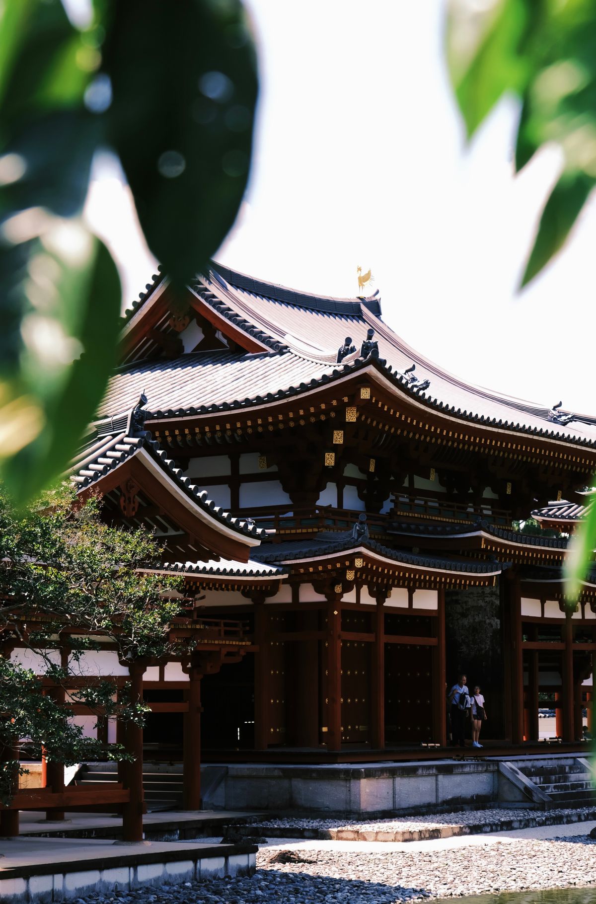Stunning view of Byodo-In Temple showcasing traditional Japanese architecture
