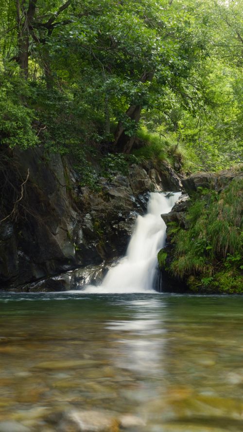 Free Peaceful waterfall cascading through a verdant forest, creating a tranquil and soothing natural scene. Stock Photo
