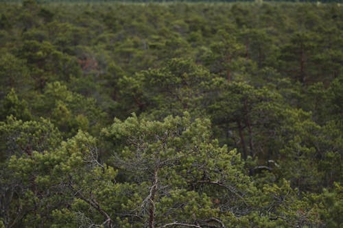 Gratis lagerfoto af droneoptagelse, dyb, fugleperspektiv