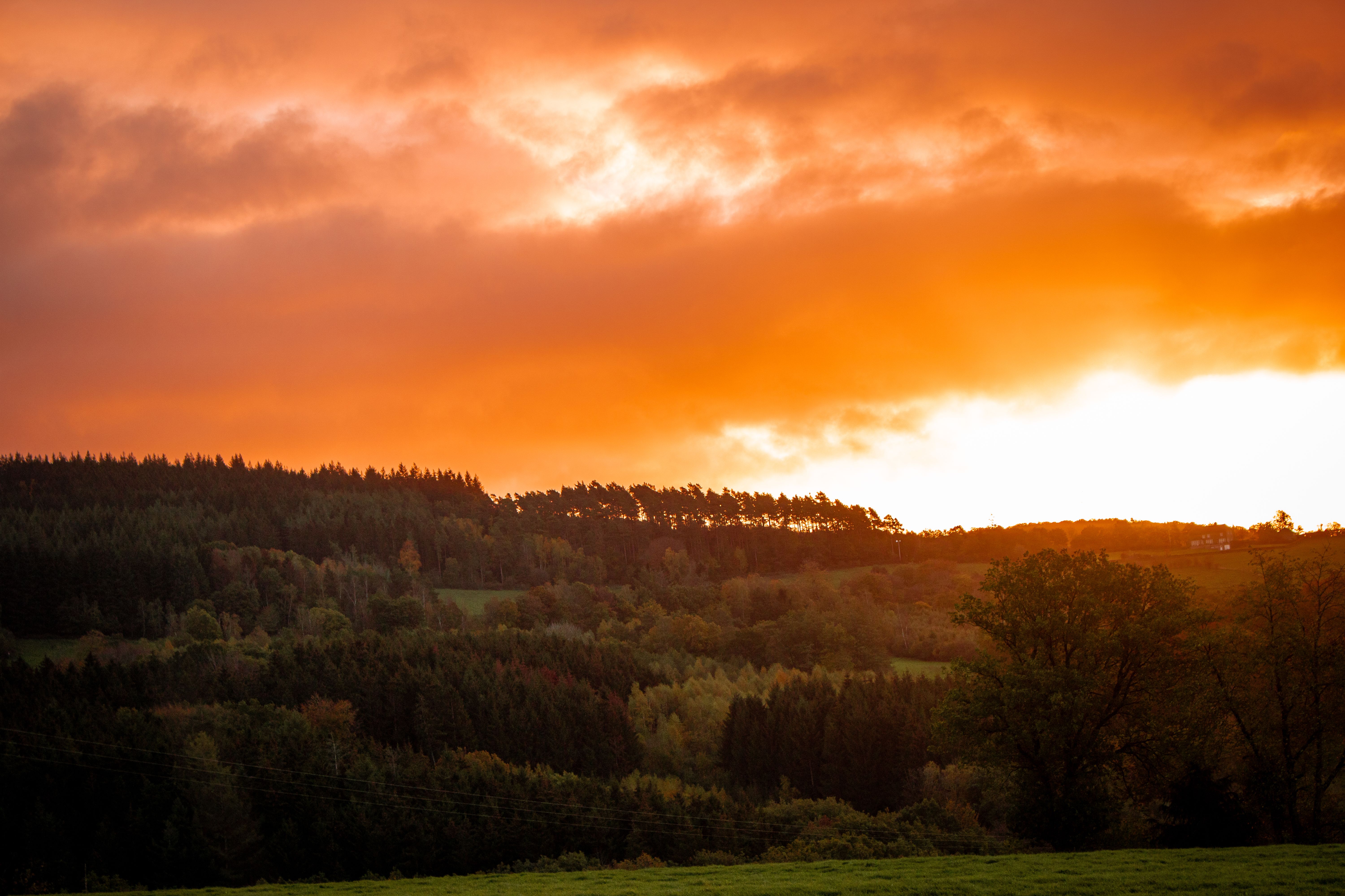 Orange Clouds over a Hill Forest at Sunset · Free Stock Photo