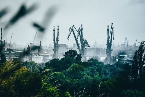 Free Foggy morning view of Gdańsk harbor with cranes and green foliage. Stock Photo
