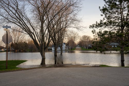 River during Flood