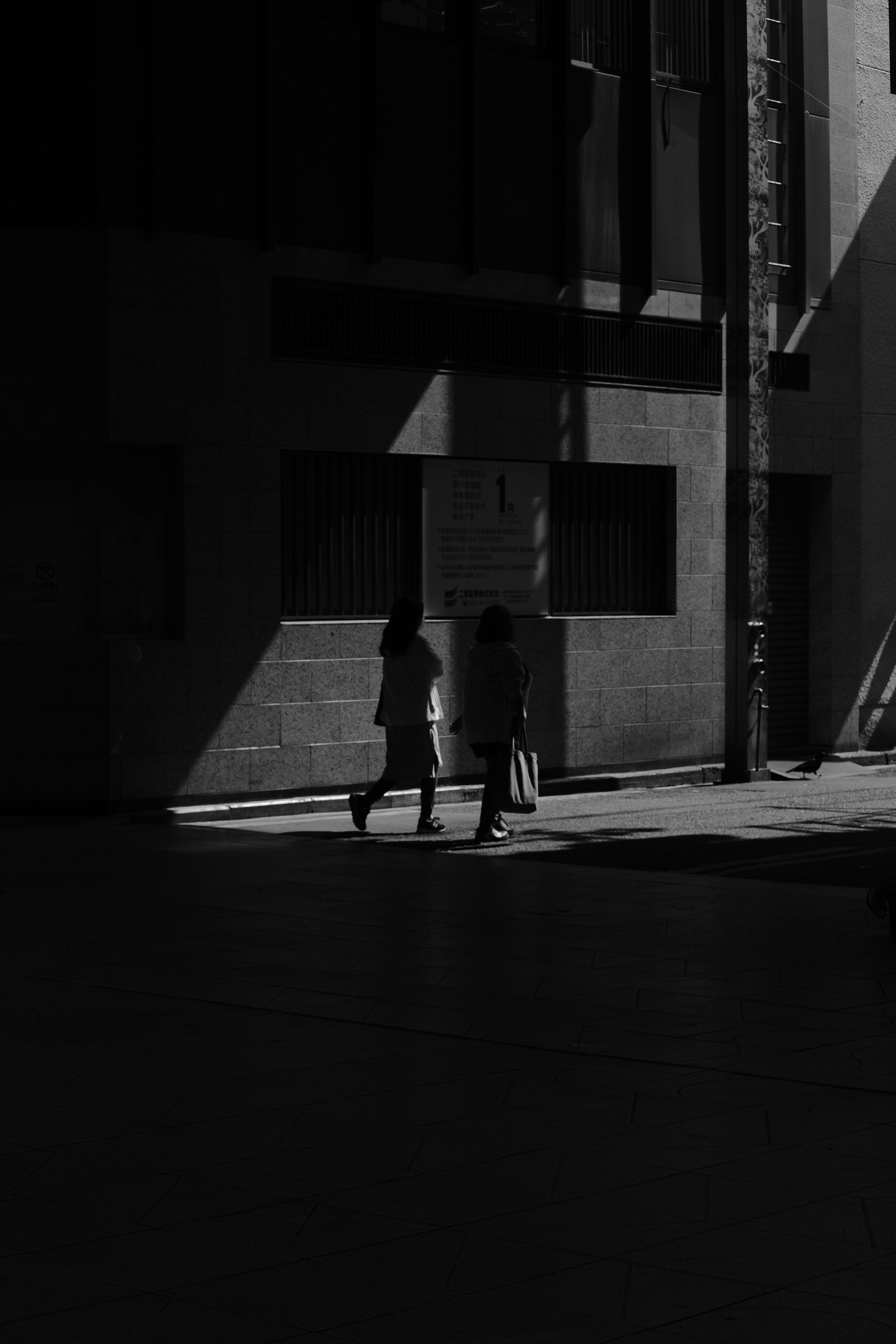 Free Two women walk along a shadowed city sidewalk, creating a contrasting urban scene. Stock Photo