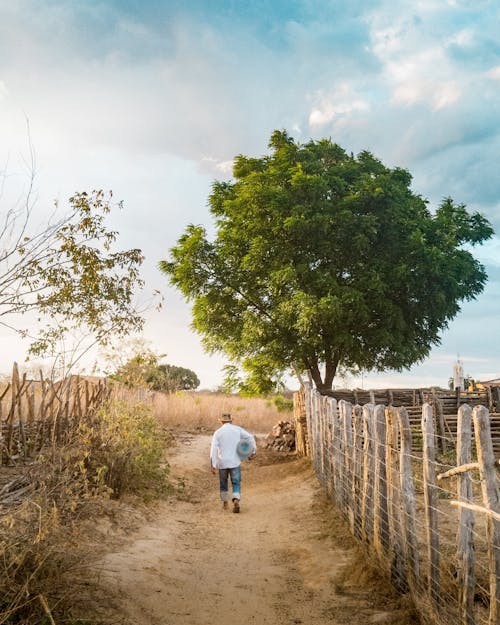 Man Walking on Dirt Road by Field