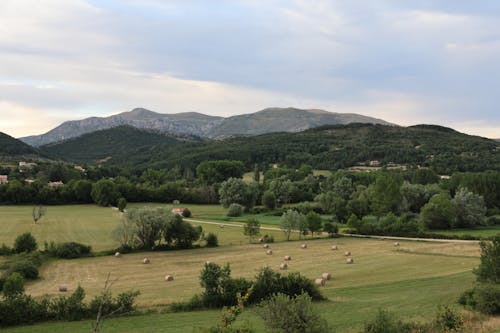 Photos gratuites de balles de foin, clairière, été