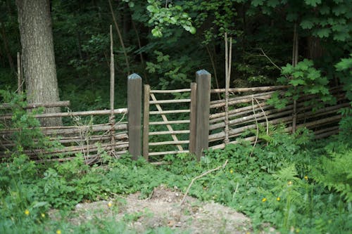 Wooden Fence Gate at the Edge of the Forest