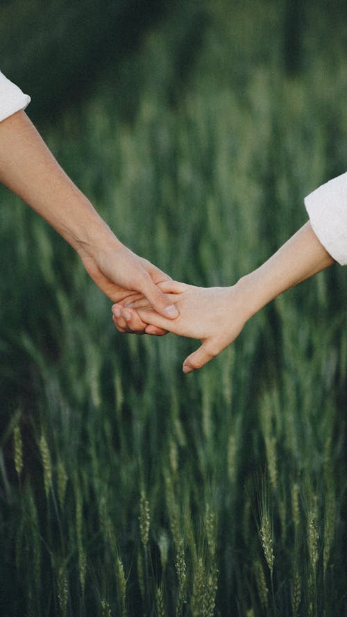Couple Holding Hands Over Green Ears of Wheat