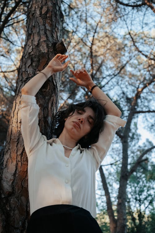 고요한, 공원, 나무의 무료 스톡 사진