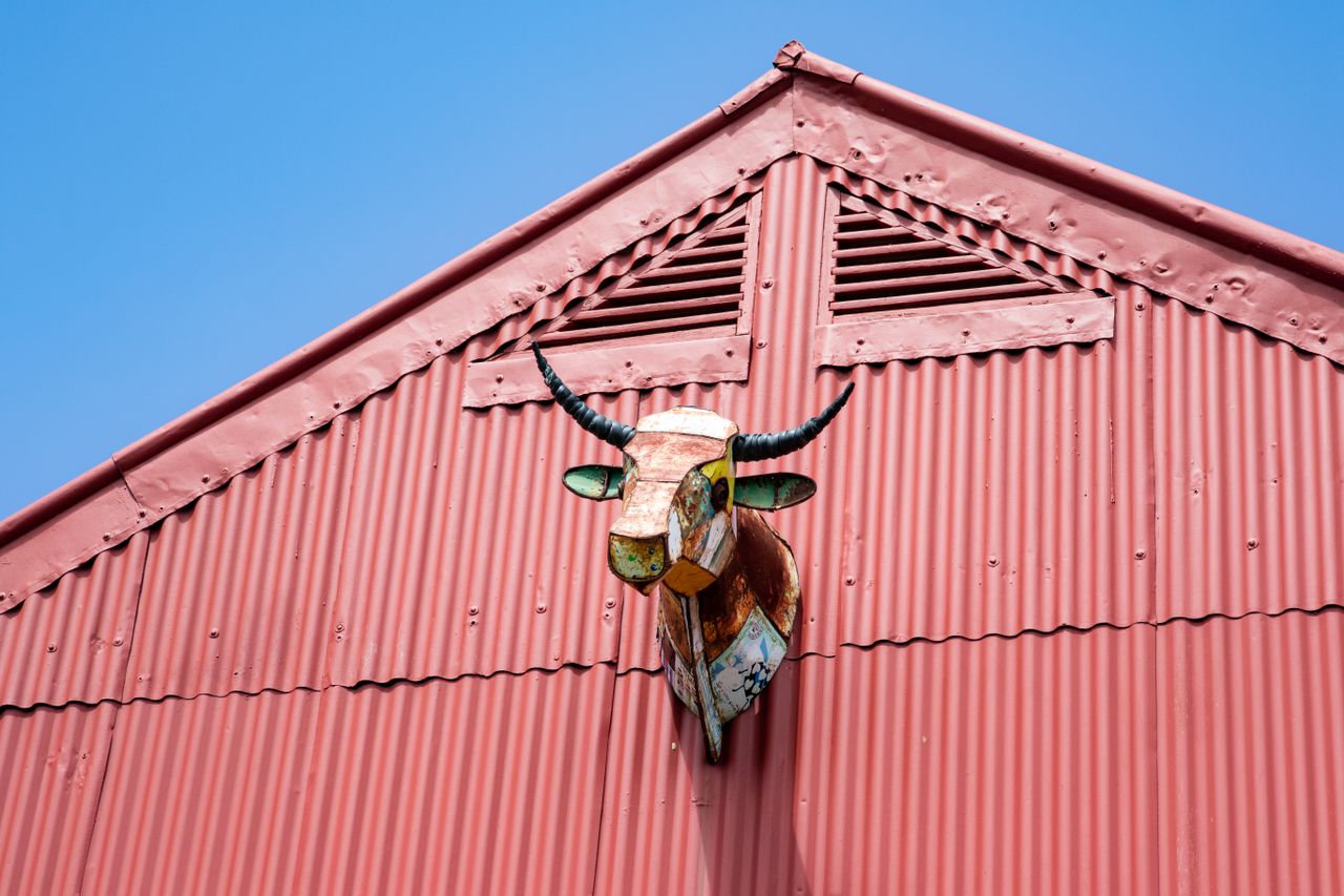 red barn facade with colorful bull sculpture under clear blue sky high