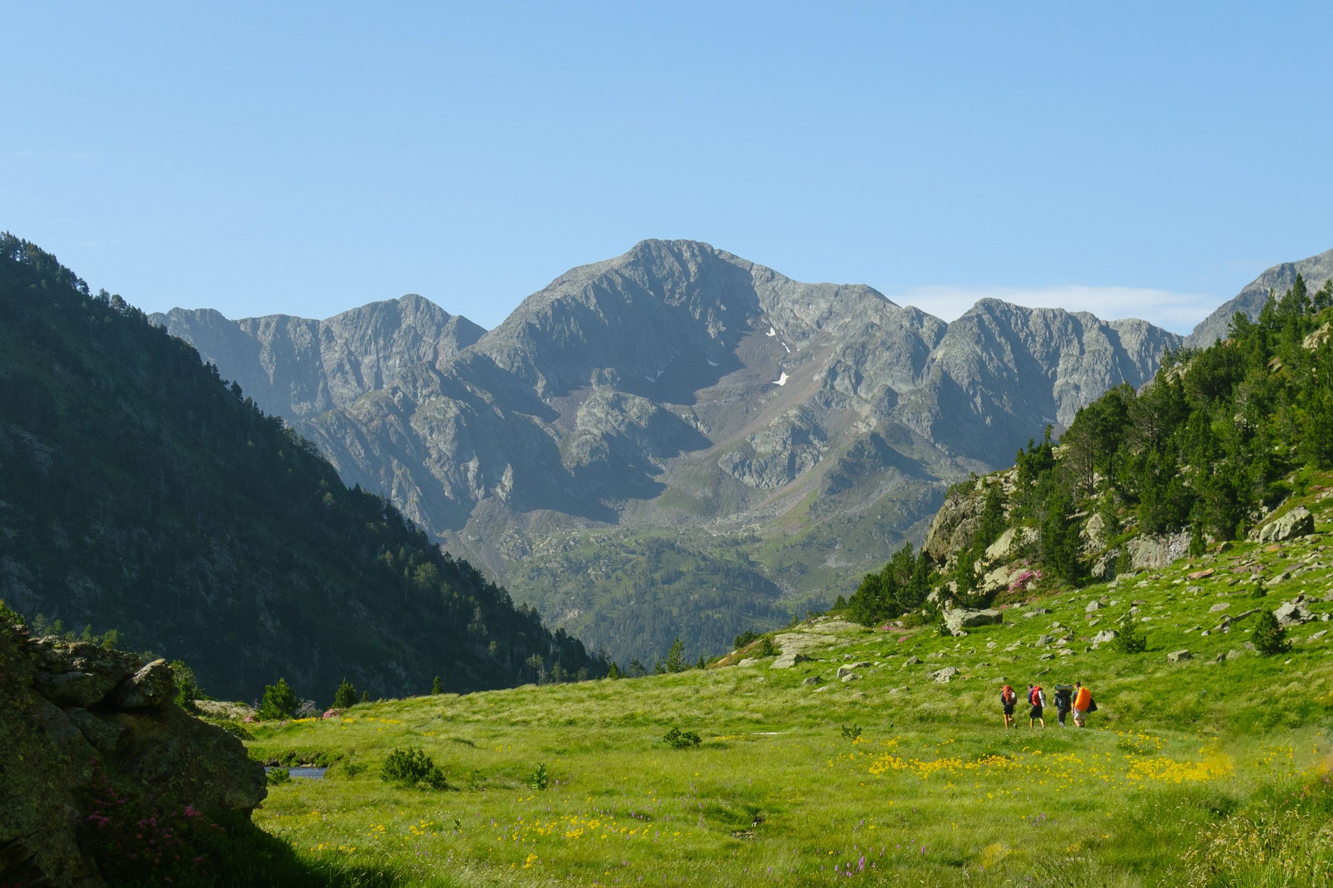 Hikers explore a lush valley with towering mountains and clear blue skies, showcasing nature's beauty.