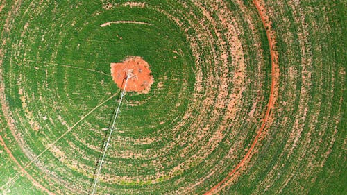 Imagine de stoc gratuită din câmp, fotografie cu drona, la țară