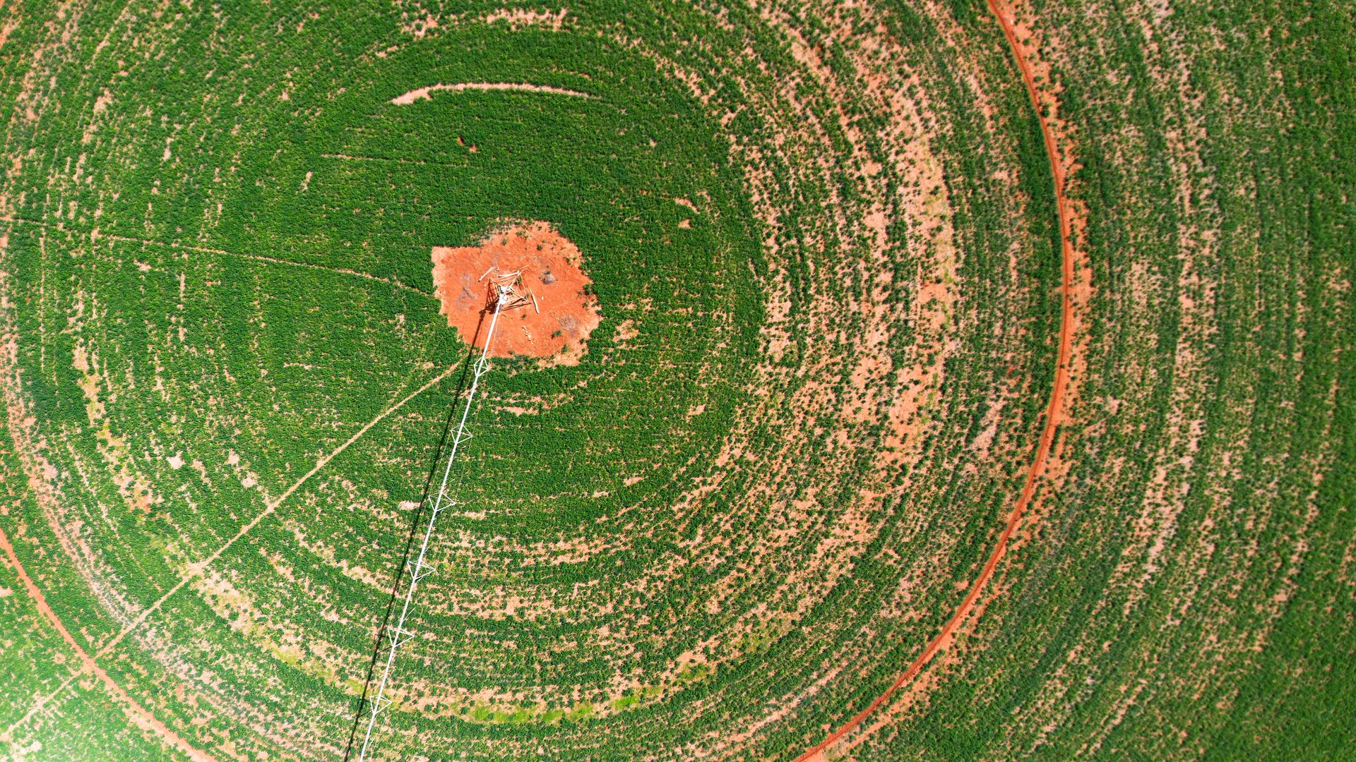Drone shot of a green circular crop field with central irrigation system.