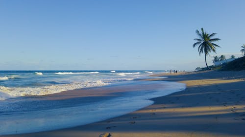 Beach on Sea Shore