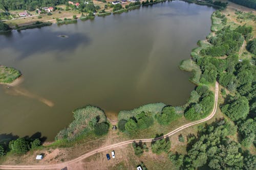 Foto d'estoc gratuïta de arbres, camí de carro, foto des d'un dron