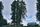 tree house