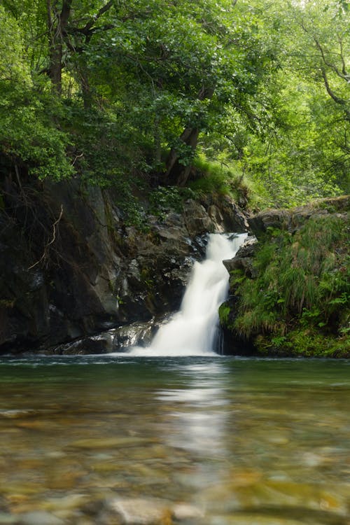 Foto stok gratis air mengalir, air terjun, alam