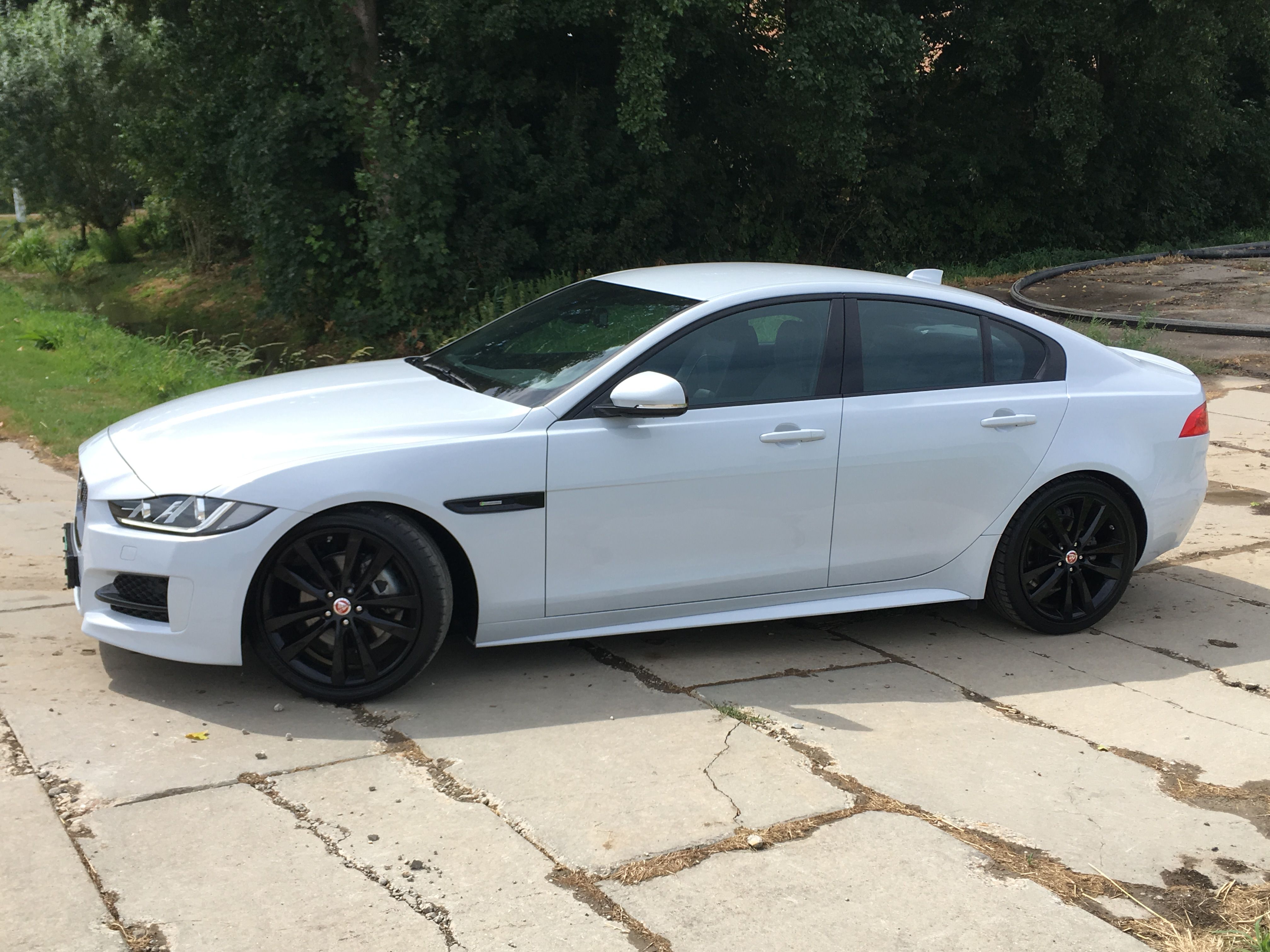 A sleek white sedan parked outdoors in the Netherlands with lush greenery.
