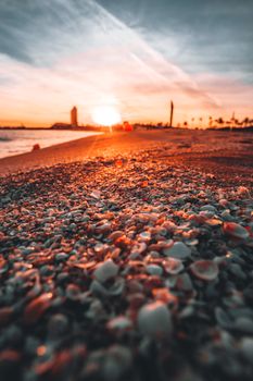 Vibrant sunset over a shell-covered beach in Barcelona, capturing the ocean's serene beauty.