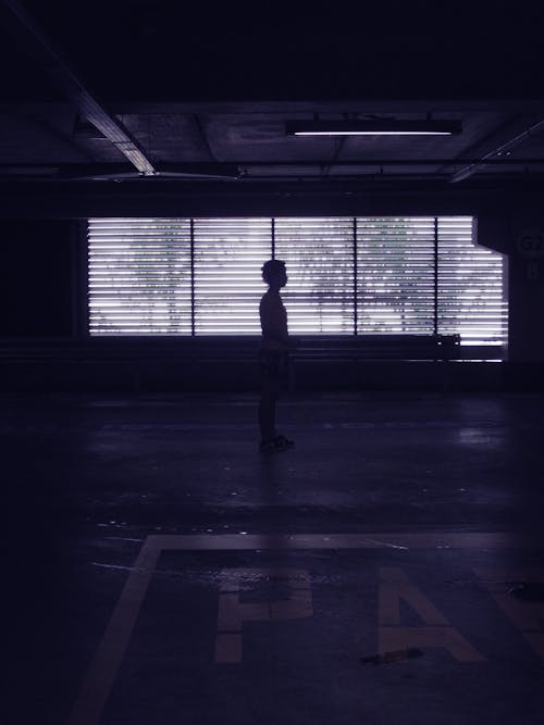 Free Silhouette Of Person Standing Stock Photo