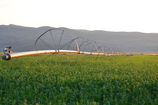 How to Combine Traditional Irrigation with Smart Water Technologies