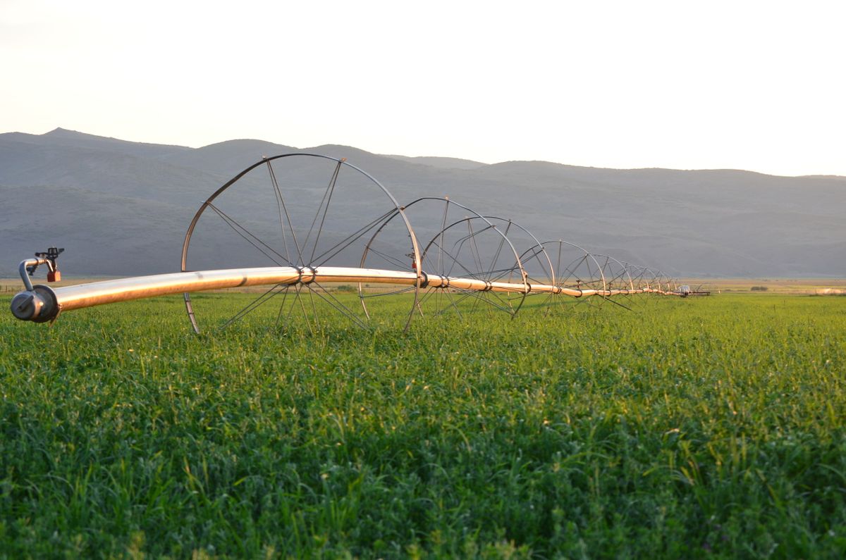 HDPE black plastic pipes for farm irrigation