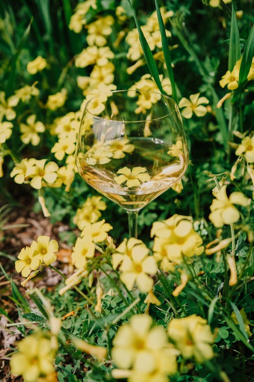 Glass of Wine amid Flowers 