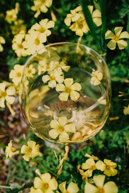 Aerial view of a wine glass amidst vibrant yellow flowers, capturing Napa's natural beauty.