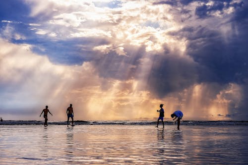 คลังภาพถ่ายฟรี ของ ชายหาด, ตอนเย็น, ตะวันลับฟ้า