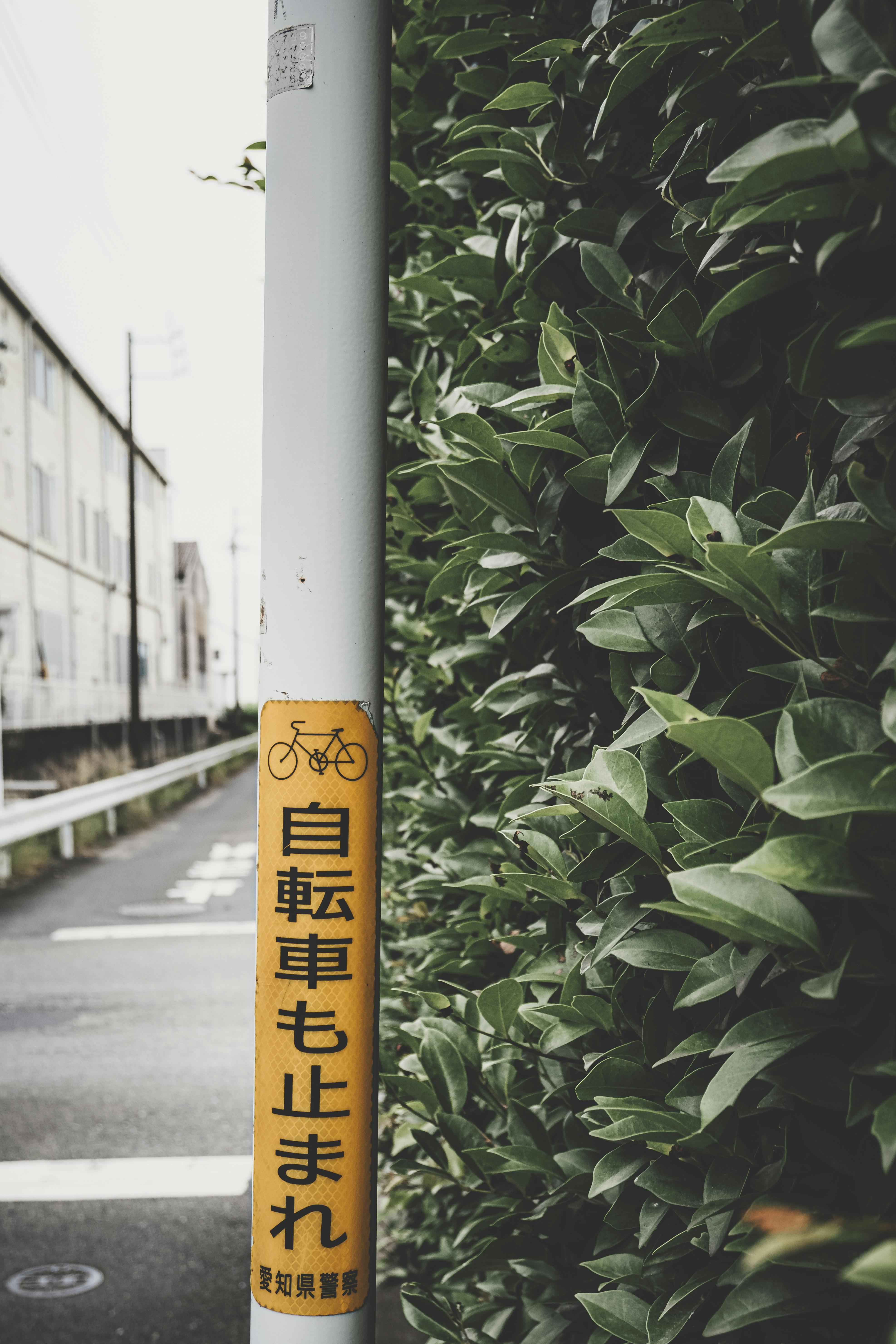 Japanese Sticker Photos, Download The BEST Free Japanese Sticker Stock