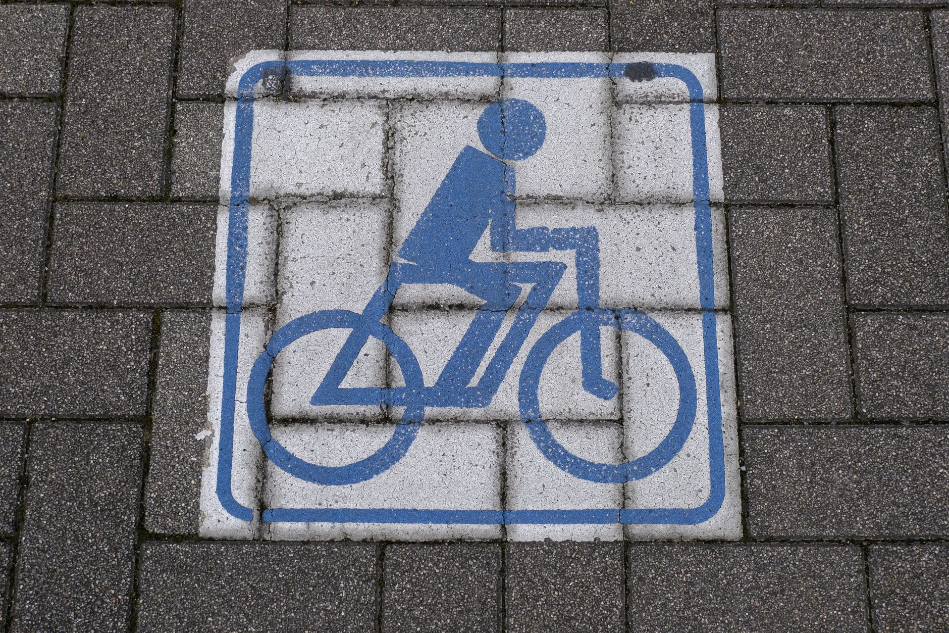 Cycling in Foz do Iguaçu: where to ride and what the ticket already covers