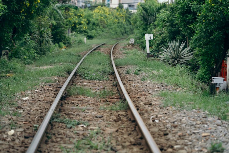 Abandoned Railway Track