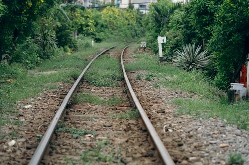 Free An abandoned railway track cutting through lush greenery and bushes in a rural setting. Stock Photo