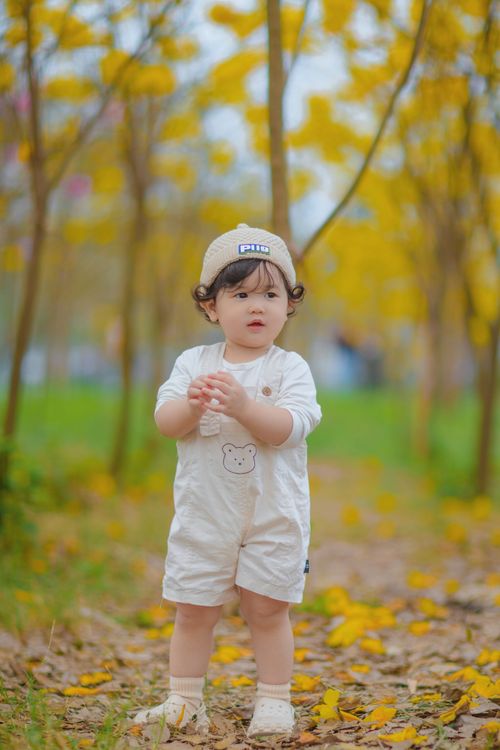 Free Cute toddler standing amidst fall foliage in Bắc Giang, Vietnam. Stock Photo