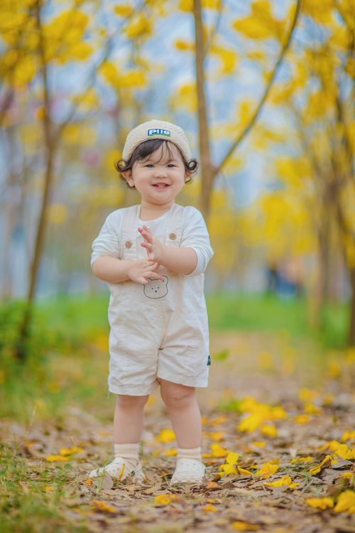 Free Charming child smiling in a autumn park with yellow leaves in Bac Giang, Vietnam. Stock Photo